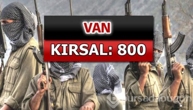 İşte PKK'lı hainlerin il il dağılımı
