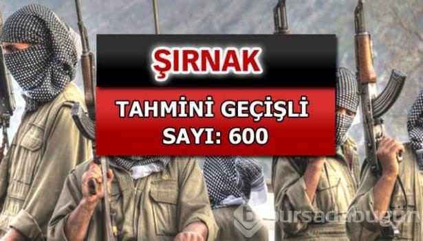İşte PKK'lı hainlerin il il dağılımı