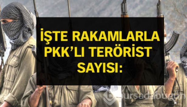 İşte PKK'lı hainlerin il il dağılımı