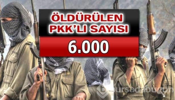İşte PKK'lı hainlerin il il dağılımı