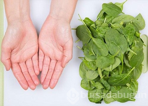 Kalori hesabından sıkılanlara işte ideal porsiyon ölçüsü