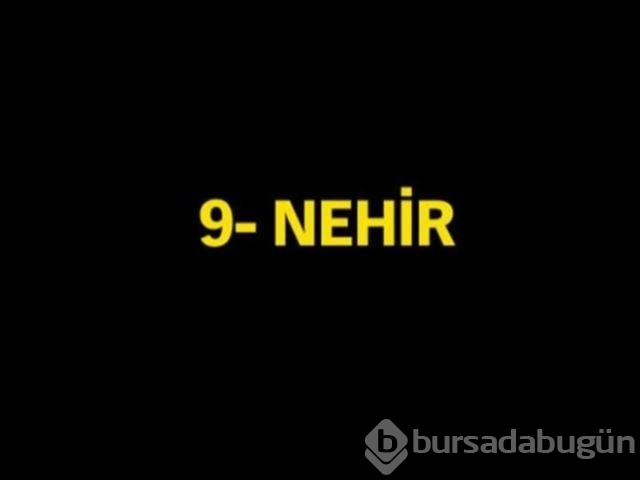 En çok koyulan kız ve erkek isimleri