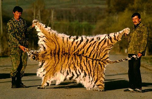Fotoğraflarla insanların Dünya'ya verdiği zarar