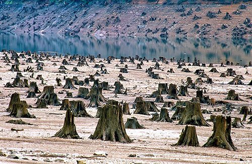 Fotoğraflarla insanların Dünya'ya verdiği zarar