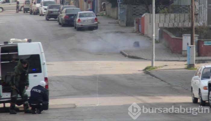 Ölüm korkusu bile fotoğraf merakını engellemedi!	