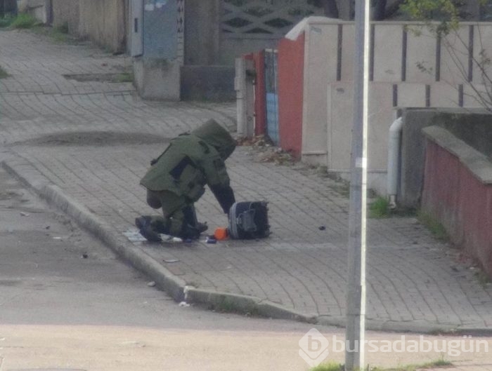 Ölüm korkusu bile fotoğraf merakını engellemedi!	