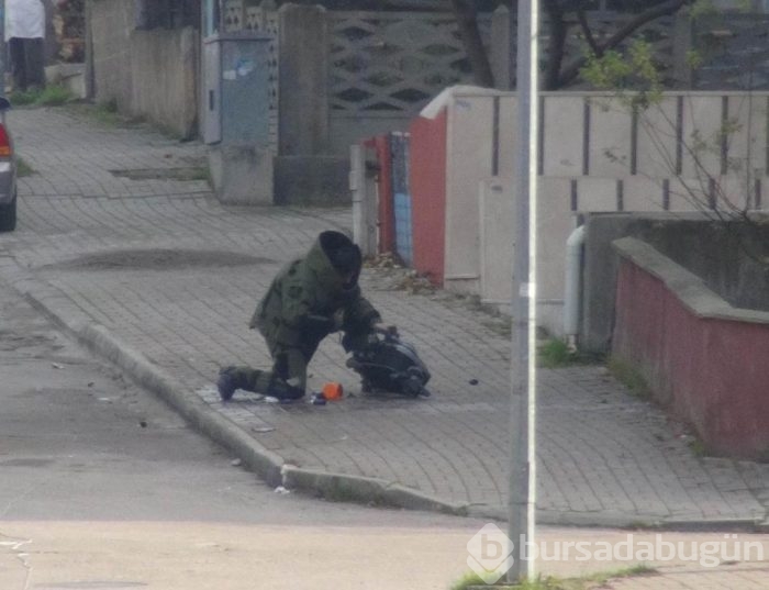 Ölüm korkusu bile fotoğraf merakını engellemedi!	