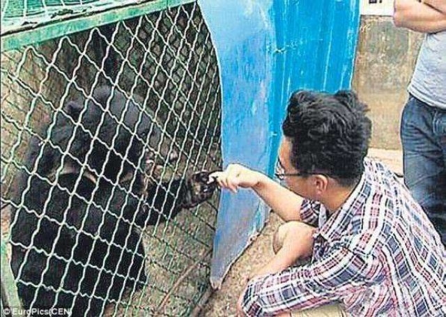 İki yıl köpek sanıp besledi...