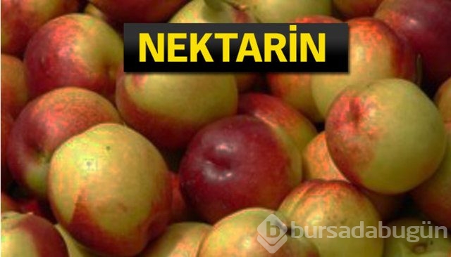 Rusya bu ürünleri almayı kesti!
