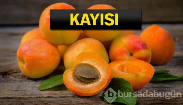 Rusya bu ürünleri almayı kesti!
