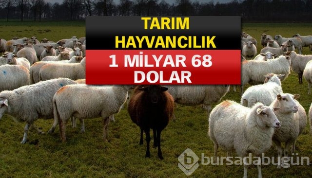Rusya bu ürünleri almayı kesti!
