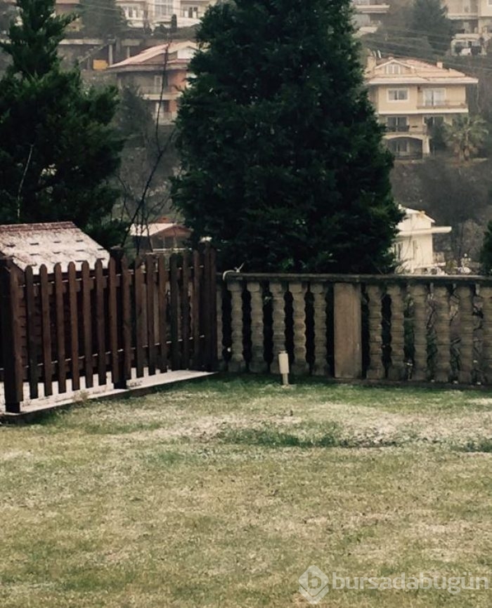 İnstagram'da Ünlüler - 30 Aralık 2015	