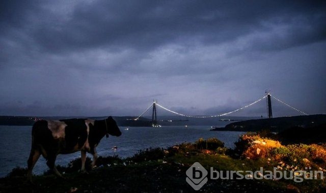 3. Köprü göz kamaştırdı	
