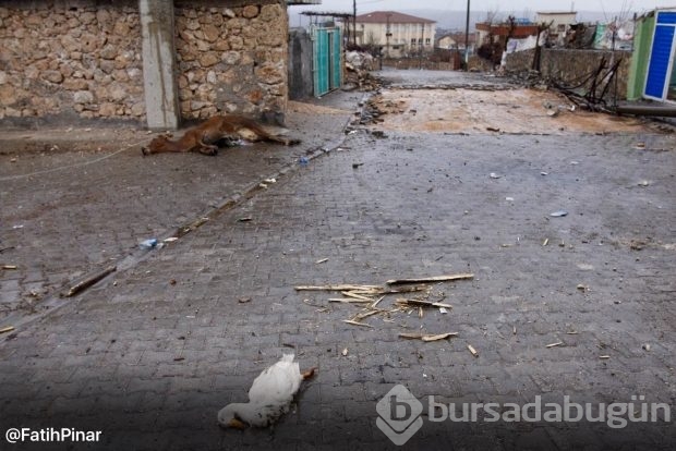 Dargeçit ve Sur'un Gazi Caddesinde sokağa çıkma yasağı kaldırıldı; işte yasaktan geriye kalanlar!