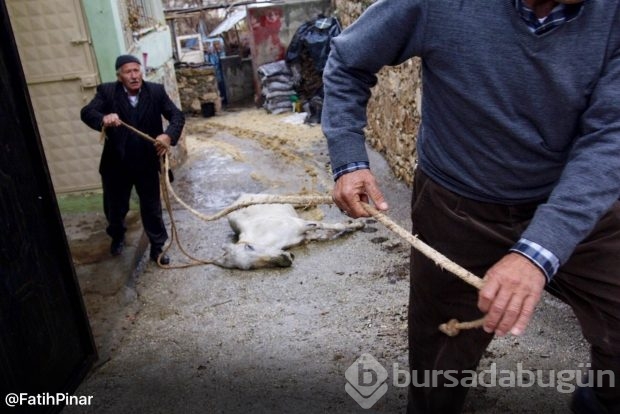 Dargeçit ve Sur'un Gazi Caddesinde sokağa çıkma yasağı kaldırıldı; işte yasaktan geriye kalanlar!