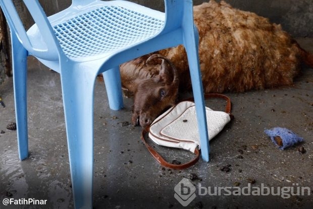 Dargeçit ve Sur'un Gazi Caddesinde sokağa çıkma yasağı kaldırıldı; işte yasaktan geriye kalanlar!