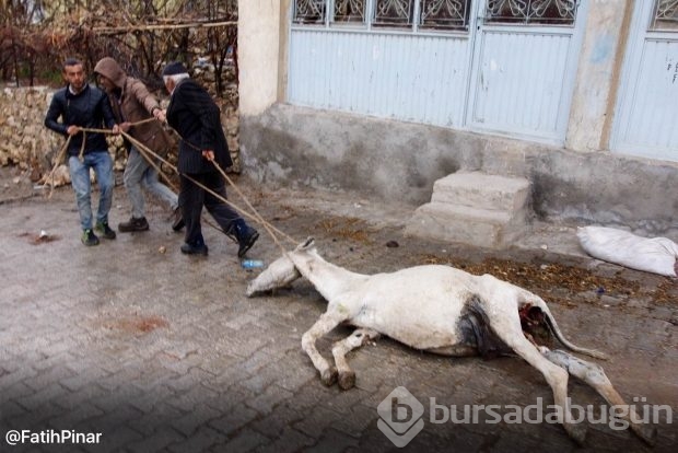 Dargeçit ve Sur'un Gazi Caddesinde sokağa çıkma yasağı kaldırıldı; işte yasaktan geriye kalanlar!