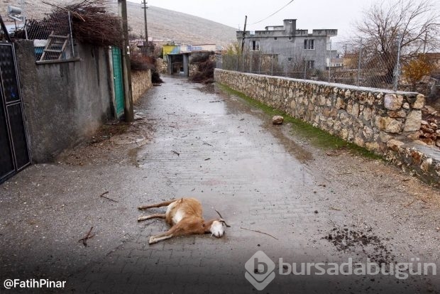 Dargeçit ve Sur'un Gazi Caddesinde sokağa çıkma yasağı kaldırıldı; işte yasaktan geriye kalanlar!