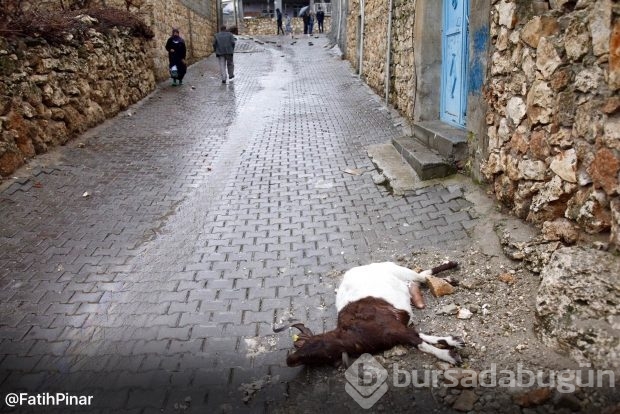 Dargeçit ve Sur'un Gazi Caddesinde sokağa çıkma yasağı kaldırıldı; işte yasaktan geriye kalanlar!