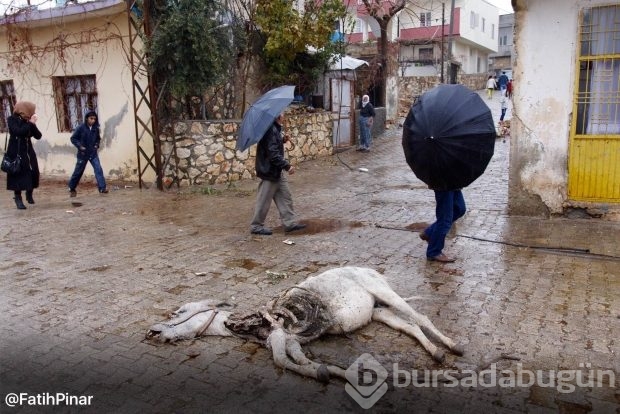 Dargeçit ve Sur'un Gazi Caddesinde sokağa çıkma yasağı kaldırıldı; işte yasaktan geriye kalanlar!