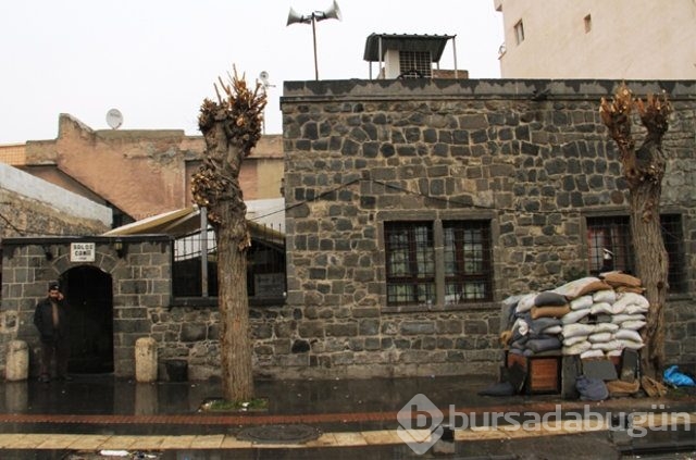 Yasak kaldırıldı, mevziler ortaya çıktı