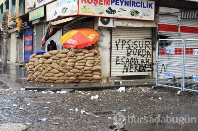 Yasak kaldırıldı, mevziler ortaya çıktı