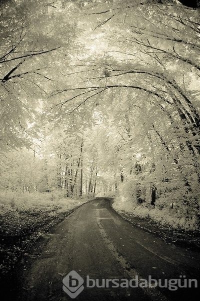 İçinizi üşütecek kış fotoğrafları