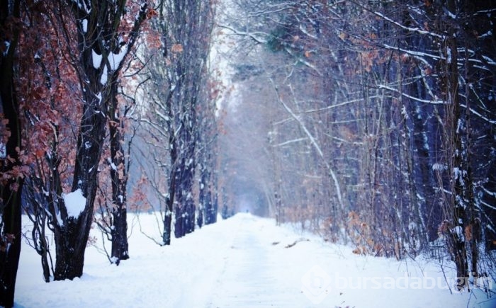 İçinizi üşütecek kış fotoğrafları