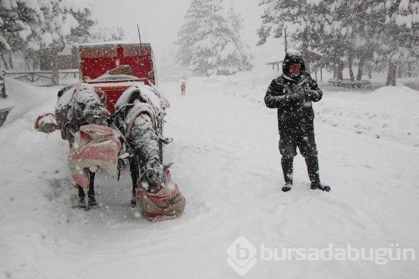 Abant Tabiat Parkı'nda kartpostallık kareler