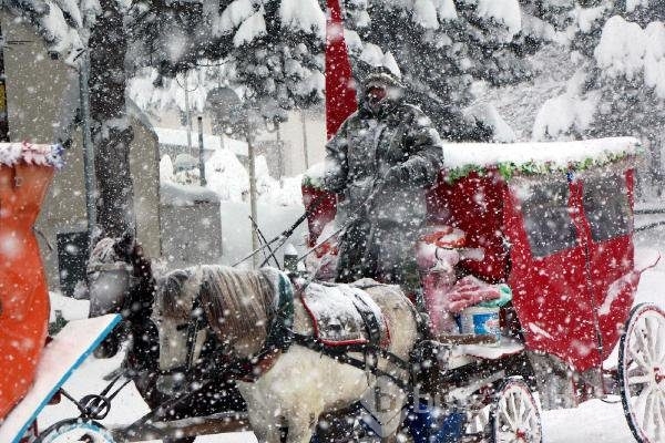 Abant Tabiat Parkı'nda kartpostallık kareler