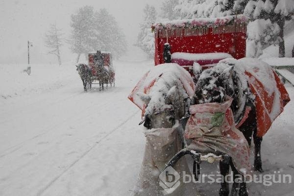 Abant Tabiat Parkı'nda kartpostallık kareler