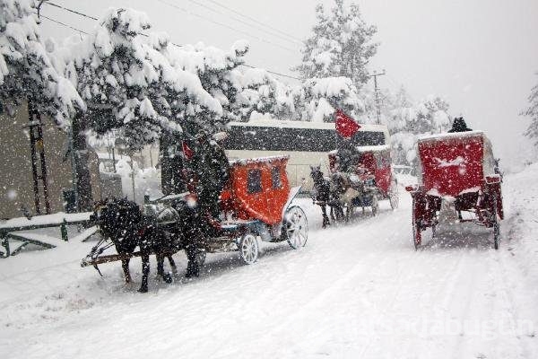 Abant Tabiat Parkı'nda kartpostallık kareler