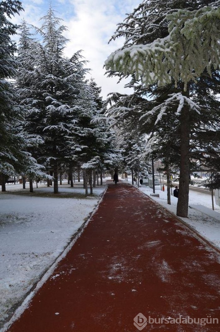 Yurttan kar manzaraları	
