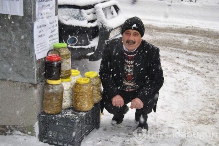 Yurttan kar manzaraları	
