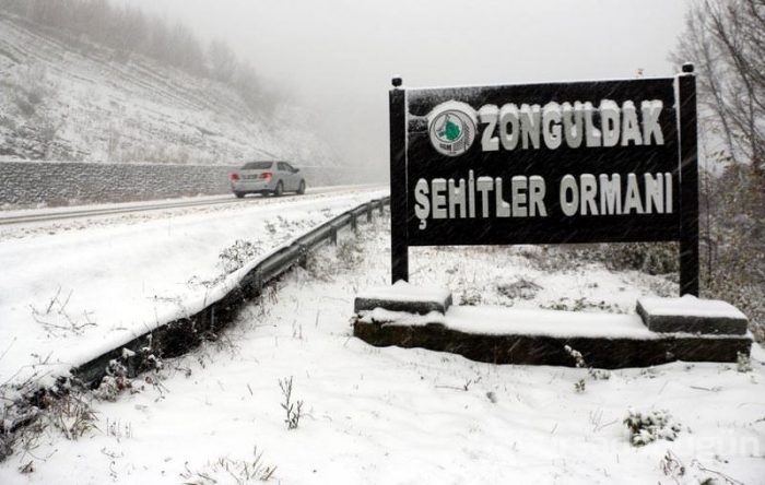 Yurttan kar manzaraları	
