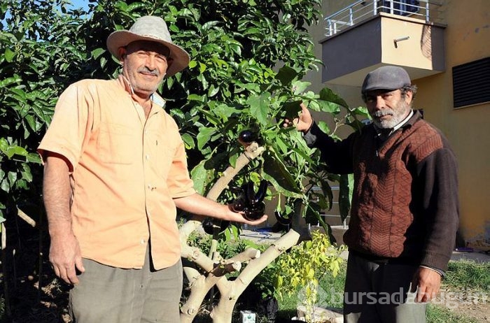 Son 24 saatte yurttan 3. sayfa haberleri 31.12.2015