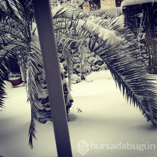 İnstagram'da Ünlüler  31 Aralık 2015	