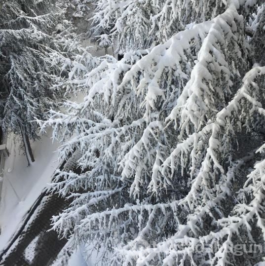 İnstagram'da Ünlüler  31 Aralık 2015	