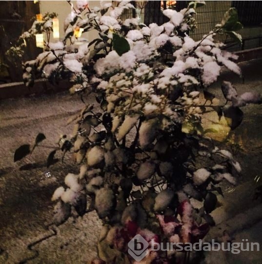 İnstagram'da Ünlüler  31 Aralık 2015	