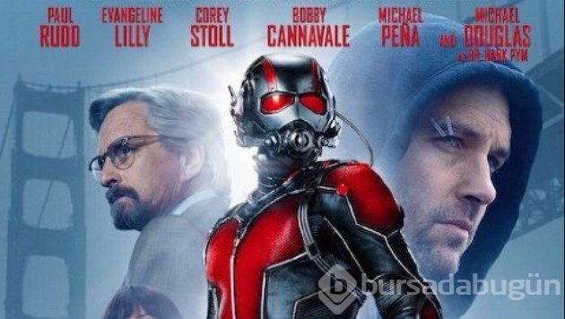2015 yılının en başarılı 50 filmi
