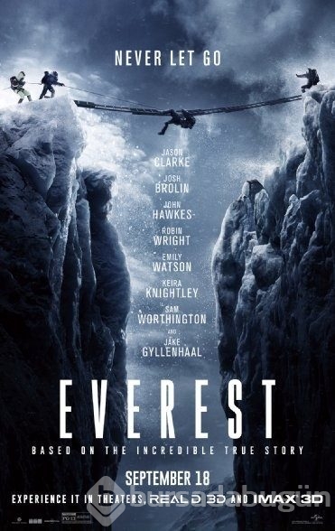2015 yılının en başarılı 50 filmi
