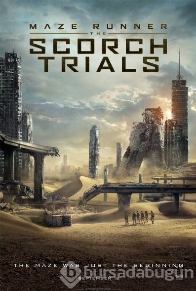 2015 yılının en başarılı 50 filmi
