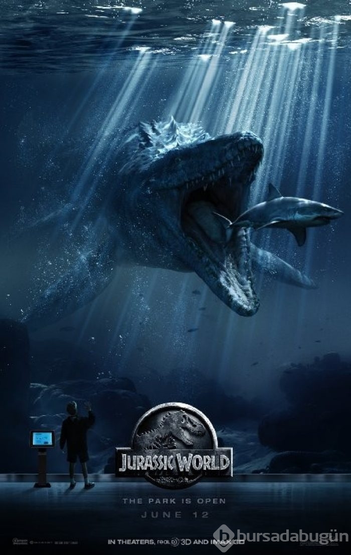 2015 yılının en başarılı 50 filmi
