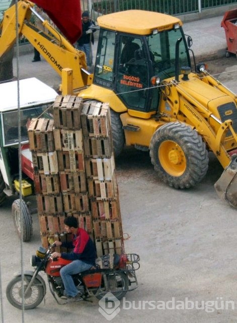 Son yılların en komik kareleri sizleri neşelendirecek