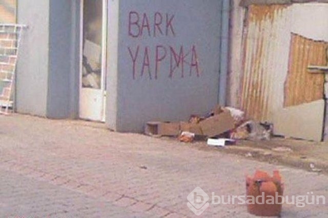 Son yılların en komik kareleri sizleri neşelendirecek