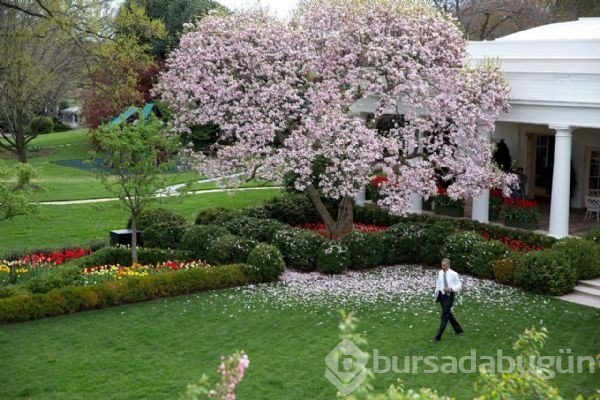 Beyaz Saray'dan çok özel fotoğraflar
