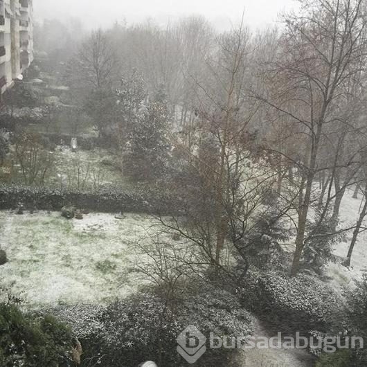 Ünlülerin kar manzaraları