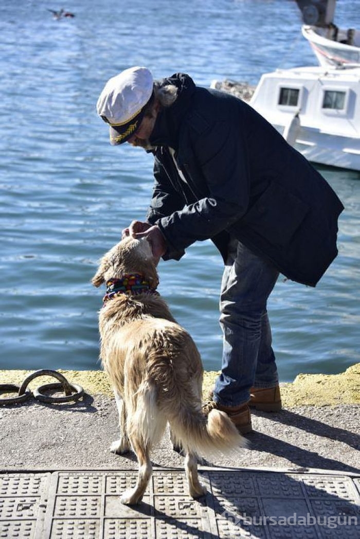 Eve dönüştürdüğü minibüste köpekleriyle yaşıyor	