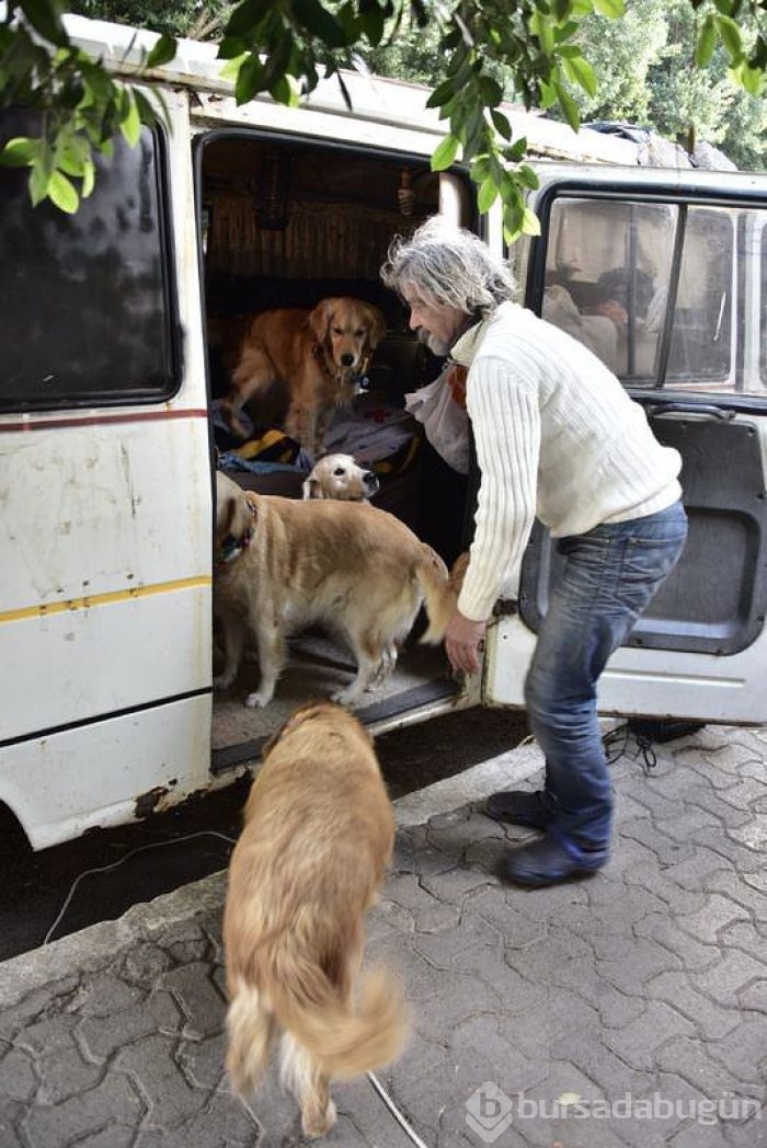 Eve dönüştürdüğü minibüste köpekleriyle yaşıyor	