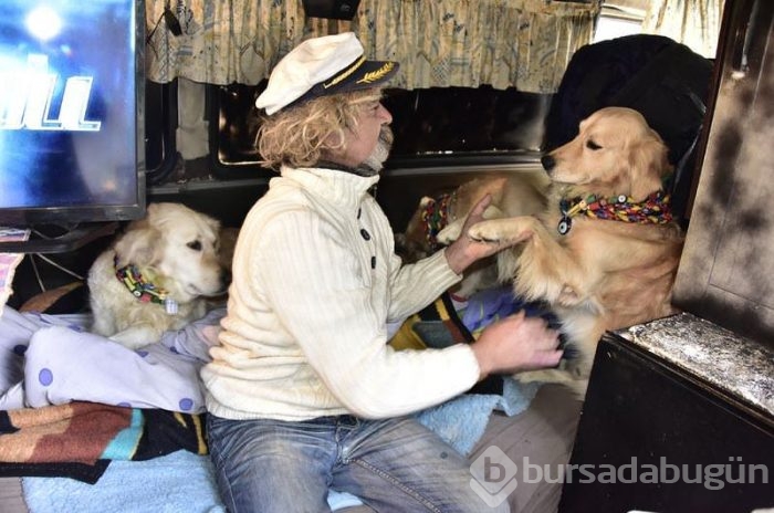 Eve dönüştürdüğü minibüste köpekleriyle yaşıyor	